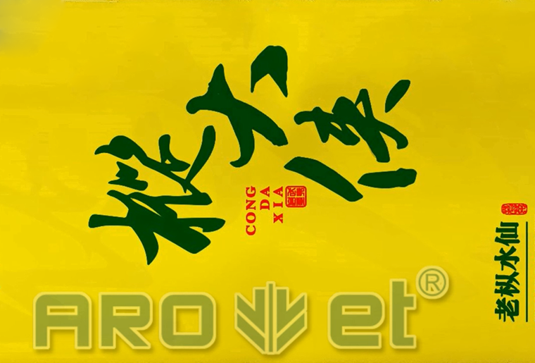 亚游集团茶叶包装袋喷印装备在客户现场喷印视频